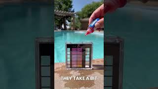 Should You Test Your Pool With Strips Or a Liquid Kit?