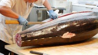 Giant Tuna Fish Cutting & Sashimi │ Noryangjin Fish Market, Seoul Korea │ Seafood│노량진 수산시장 우오가시│생참치회