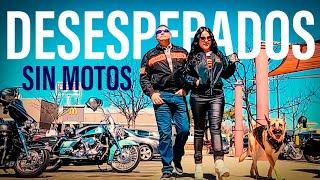 Desesperados y Sin Motos vamos a Agencia Harley Davidson a mirarlas