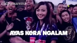 AREMANIA AREMANITA