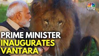 PM Modi Inaugurates Vantara Wildlife Rescue, Rehabilitation & Conservation Centre In Gujarat | N18V