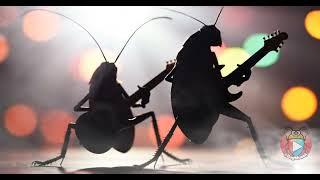 Firefly, Spider, and Roaches Thrash "A Glow in The Dark" | A Bugs Muzak Tale! PART #4