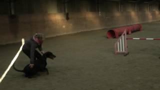 Lucy Osborne agility workshop with Adah