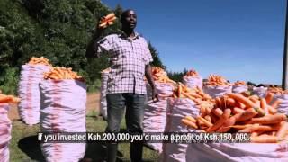 Carrot Farmer from Kenya