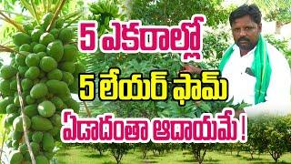 సాఫ్ట్ వేర్ ని మించే స్థాయి ఆదాయం | Multilayer Farming | Sattiraju