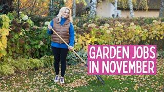 November in the garden. What garden jobs can you do in November.