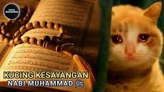 KISAH NABI MUHAMMAD SAW KEISTIMEWAAN MUEZZA KUCING RASULULLAH | TINTA MAHABBAH