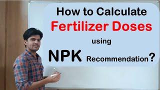 How to calculate Fertilizer Doses using NPK recommendations ||Agri Wale ||