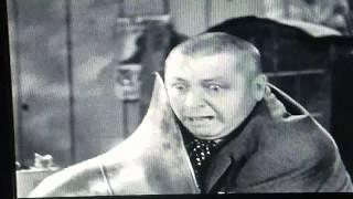 The Three Stooges - Curly vs the tuba