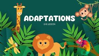 British Science Week Live Lesson 2025: Adaptations