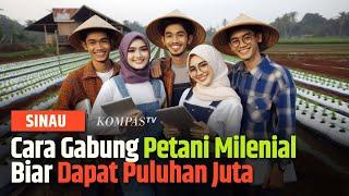 Benarkah Ikut Petani Milenial 2024 Dapat Gaji Dua Digit? Begini Penjelasannya | SINAU