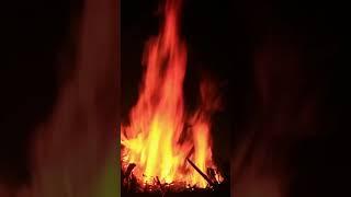 Campfire at Night: Soothing ASMR White Noise for Sleep