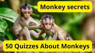 "50 Fun and Fascinating Monkey Quizzes to Test Your Primate Knowledge"