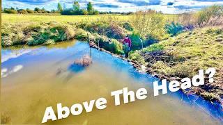 Strange Beaver Dam Moves Before Collapse!