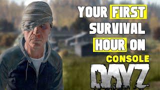 Beginners Guide to DayZ on Console How to Play DayZ