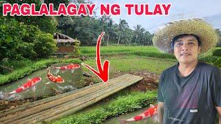 Finally may tulay na sa garden ng inay...Mas gumanda na ngayon