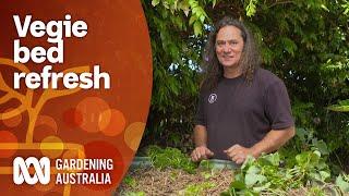 Refresh Your Vegie Garden | Gardening 101 | Gardening Australia