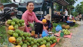 Harvest Sour ear fruit to bring to the market. Build a farm - Lý Dung Bushcraft