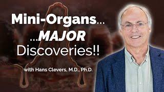 Organoids to Model Human Diseases with Hans Clevers - Sanford Stem Cell Symposium 2023