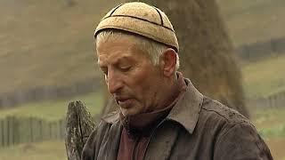 ვარია და საგომელი (2012) Butter churn