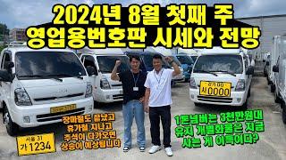 2024년 8월 첫째 주 영업용번호판 시세와 전망 "개별화물은 지금 사는 게 이득?, 1톤은 3천만원대" (화물차, 트럭)