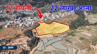 22 Ropani Land on Sale Cost 21, 22 and 23 Lakhs per Aana | ID - 3899 | Lalpurja Nepal |