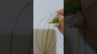 How to draw Star fruit#videoshorts