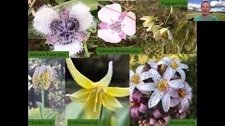 Botany Basics Class