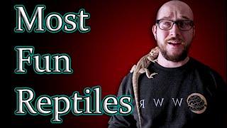 Top 5 Most FUN Interactive Reptiles