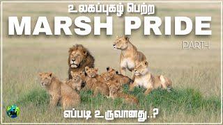 Marsh pride முதன்முதலில் எப்படி உருவாக்கப்பட்டது? | Marsh lions pride | Part-1 | Tamil | BioWorld