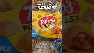 Can You Freeze Dry Pizza Rolls?