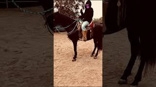 ￼ Montando mi cuaco  #shorts #viral #caballos #california #horse #horses