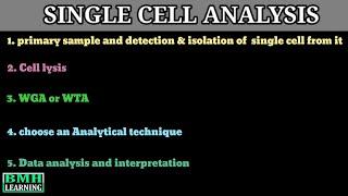 Single Cell Analysis | Single Cell RNA Sequencing |