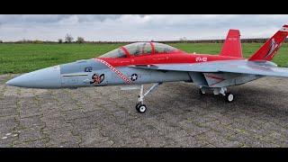 Flyeaglejet F-18 Hornet