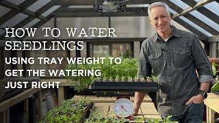 How to Water Seedlings Using Tray Weight