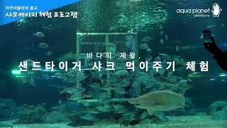 아쿠아플라넷 광교 : 샤크케이지 체험 프로그램