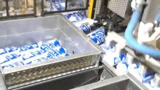 Ice Systems Australia Robotic Ice Pallet Packing Station