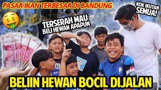 HUNTING BOCIL RANDOM DIJALAN! BELIIN HEWAN APAPUN YANG MEREKA MAU! DAPET HEWAN APA AJA YA?