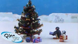 Pingu Celebrates Christmas  | Pingu - Official Channel | Cartoons For Kids