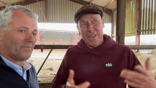 FARM UPATE 270 Sheep farming in Wales, inc dipping & sugar beet update from Lincs.
