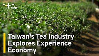 Taiwan's Tea Industry Explores Experience Economy | TaiwanPlus News