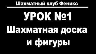 Шахматы для начинающих с нуля. Урок №1 Знакомство с шахматной доской и фигурами