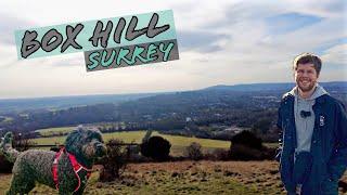 Is BOX HILL In Surrey The BEST Day Trip Out Of London?