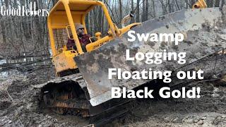 Mastering Swamp Logging: Harvesting Walnut Trees Like a Pro!