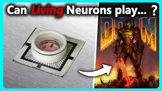 Growing Living Neurons to Play...Doom? | Part 2!