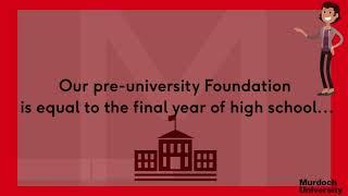 What is the Foundation Studies Program?