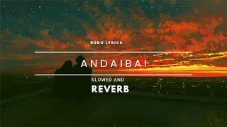 ANDAIBAI || SLOWED X REVERB || ALPHINSTONE BORO & BABY RABHA || BODO LYRICS ||