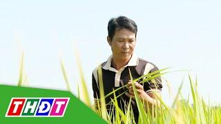 Đồng Tháp: Khi người dân thay đổi tư duy để thoát nghèo | THDT