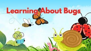 Learn About Bugs #kidslearning #bugs