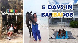 5 Days in Barbados | Full Barbados Vlog